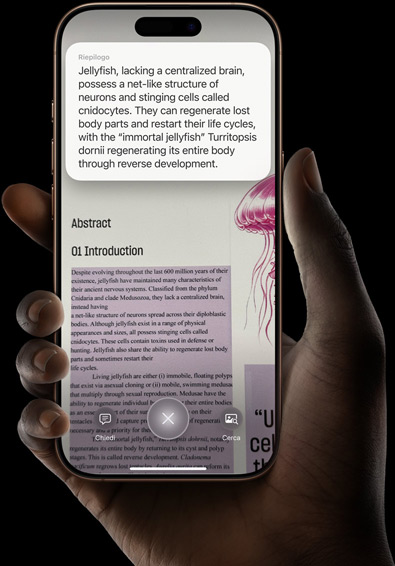 Una mano che tiene un iPhone 16 Pro con i risultati di una ricerca fatta usando l’intelligenza visiva.