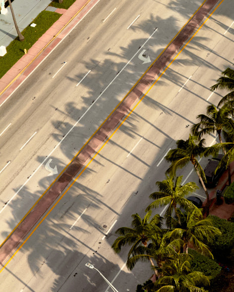 Palm trees cast their silvery shadow across an empty Miami street in an image captured on iPhone 16 Pro from the photographer’s hotel balcony.